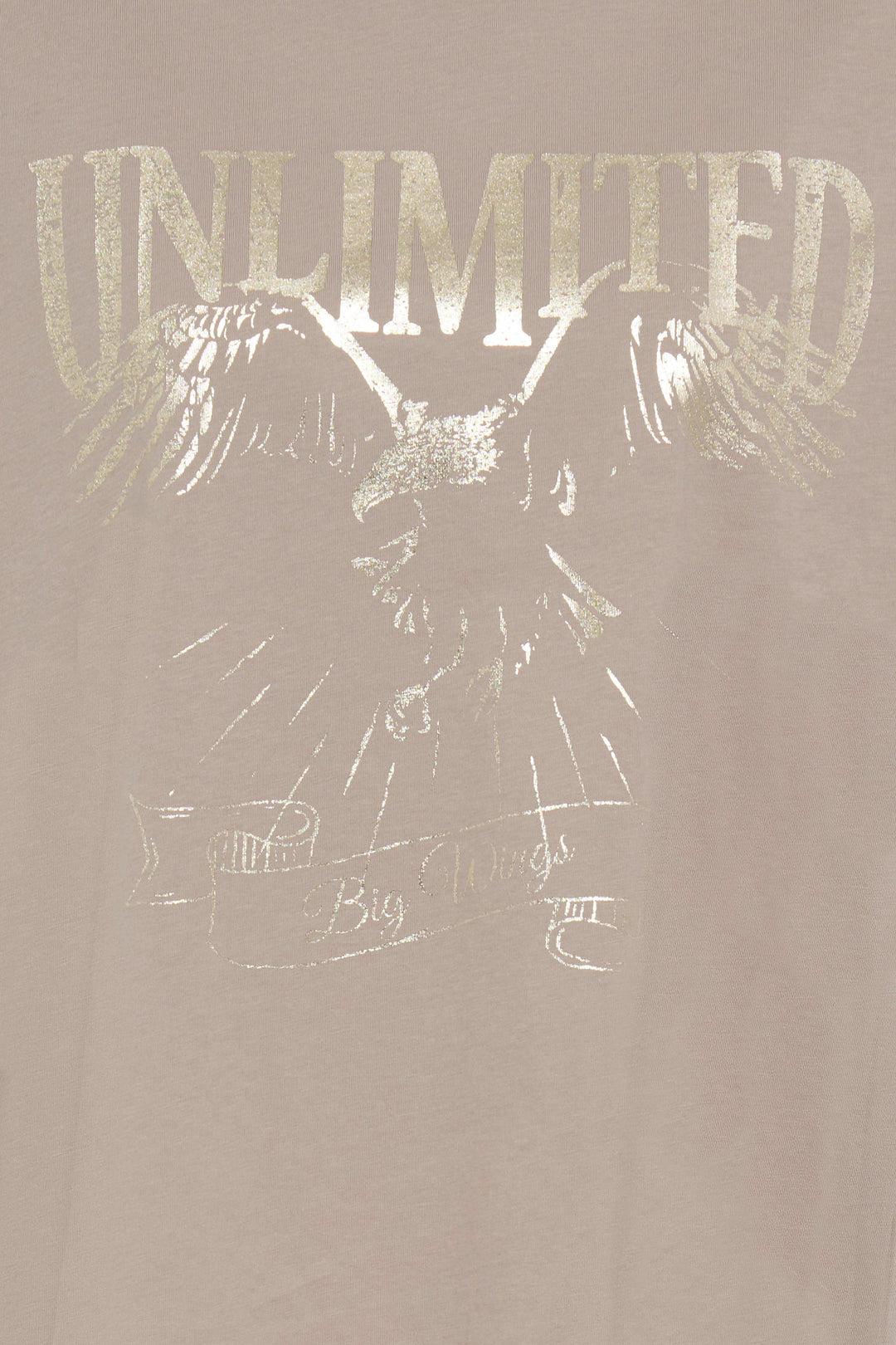 Fransa Stone & Gold Haisley Tee