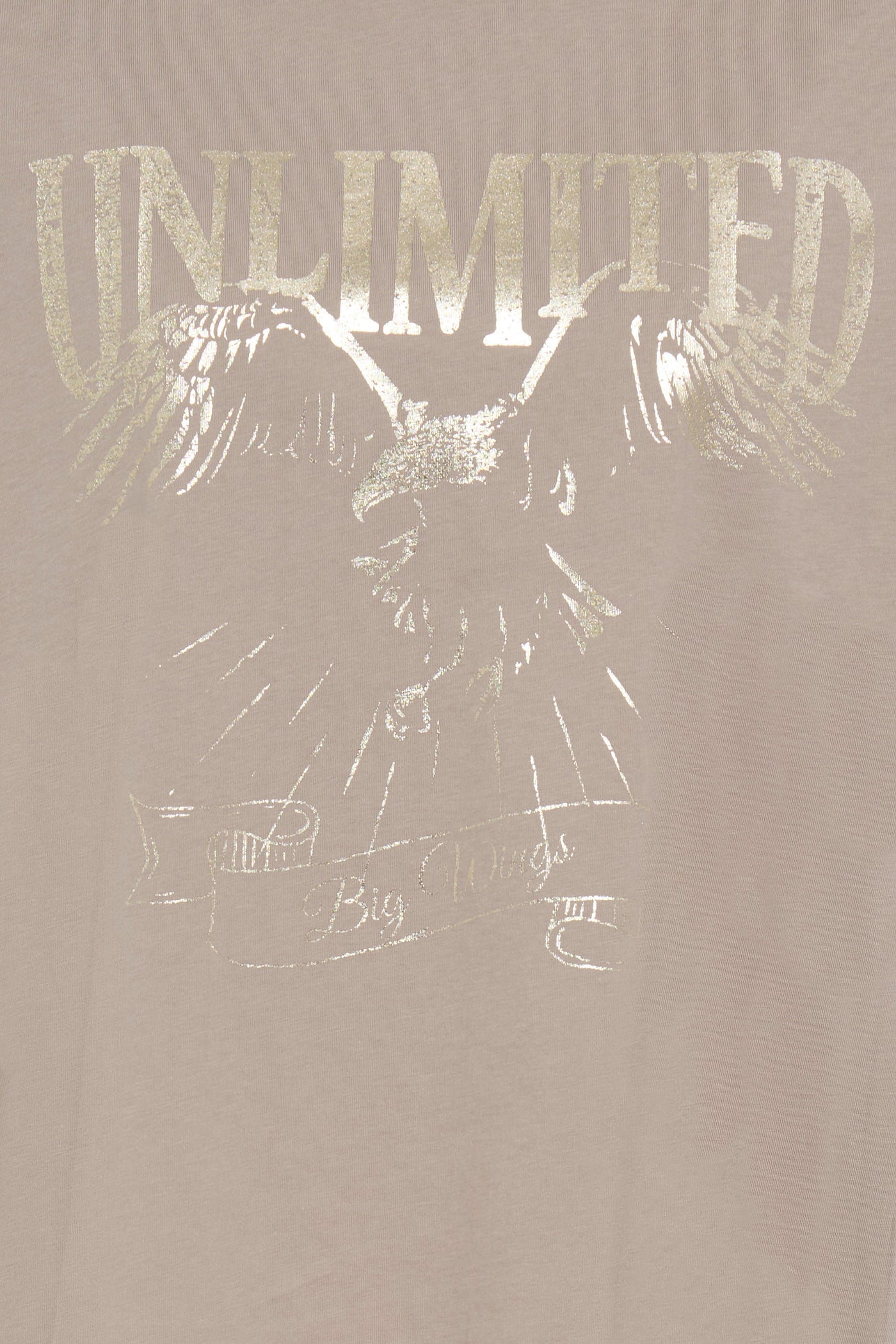 Fransa Stone & Gold Haisley Tee