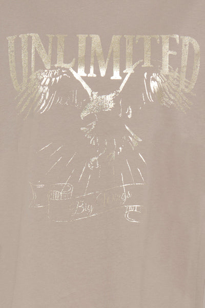 Fransa Stone & Gold Haisley Tee