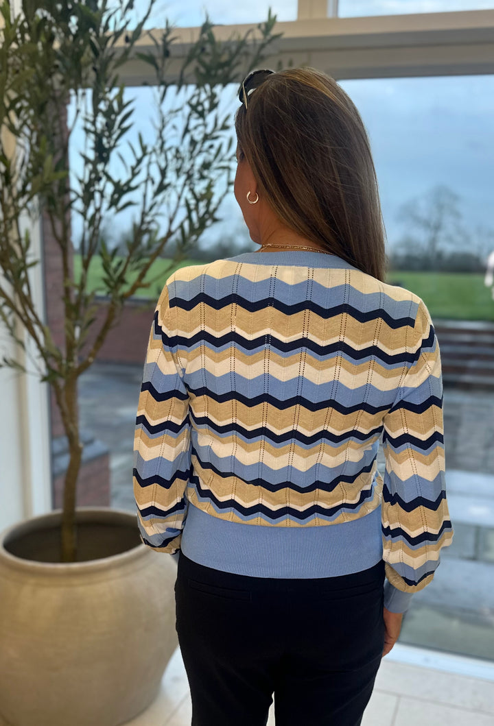 Byoung Blue Stripe Pointelle V Neck