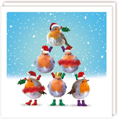 Pyramid Robins 10 Pack Charity Xmas Cards