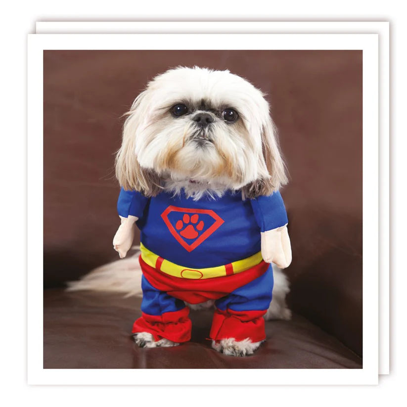 Superdog Card