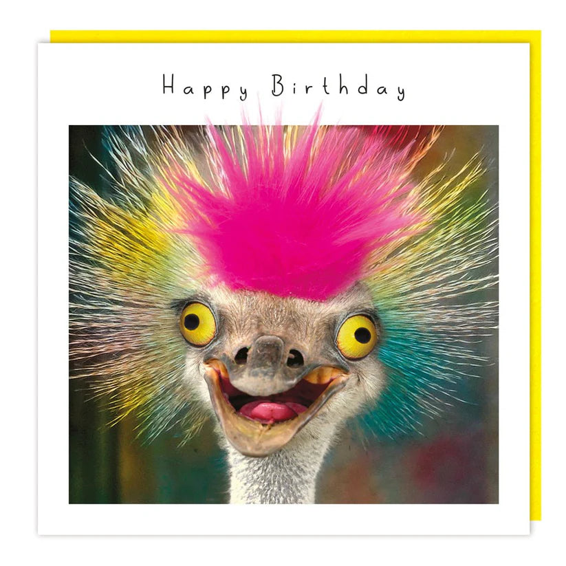 Fluffy Ostrich Birthday Card