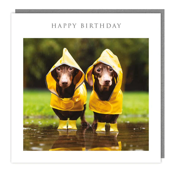 Raincoat Dogs Happy Birthday Card