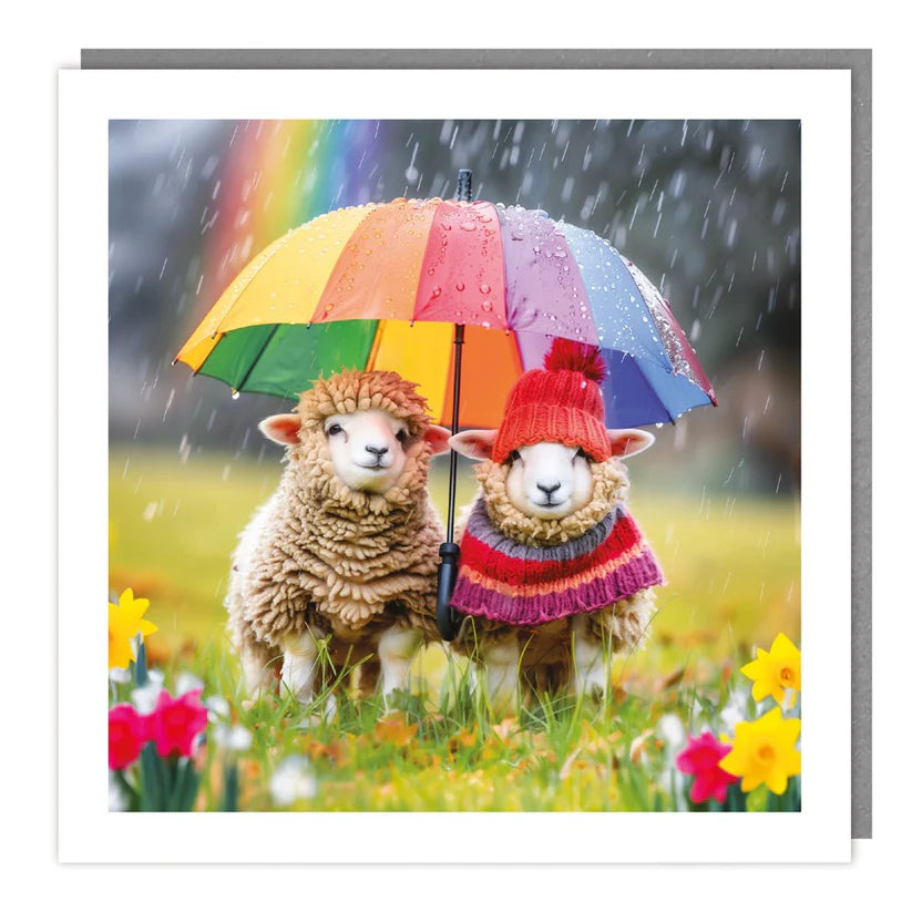 Sheep Under Umbrella Card