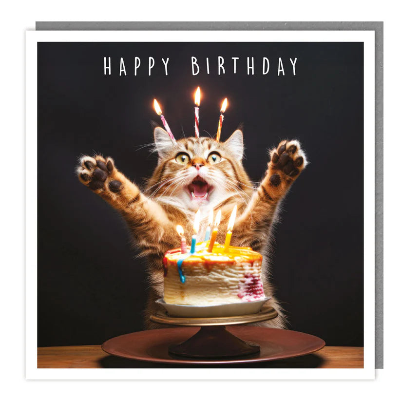 Cat & Cake Happy Birthday Card