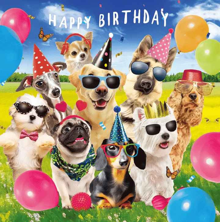 3D Dogs Birthday Card