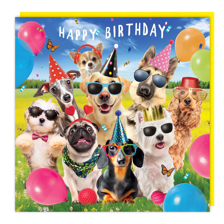3D Dogs Birthday Card