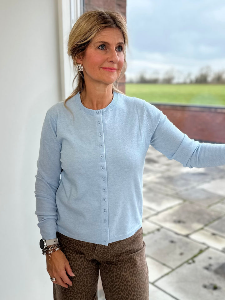 JDY Pale Blue Classic Cardigan