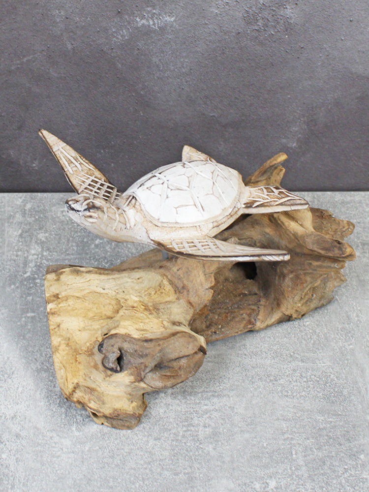 *shop collection only* Whitewash Turtle on Stand
