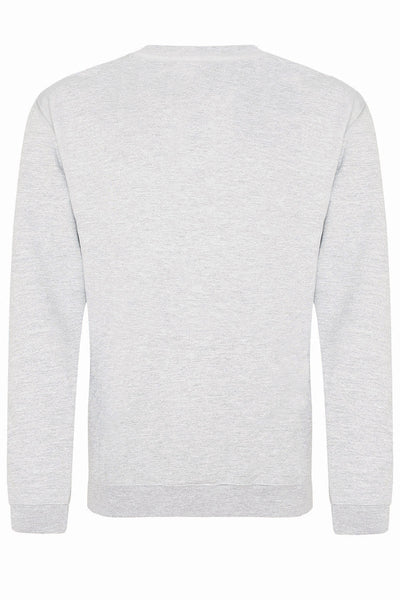 Grey 'Washington DC' Sweatshirt