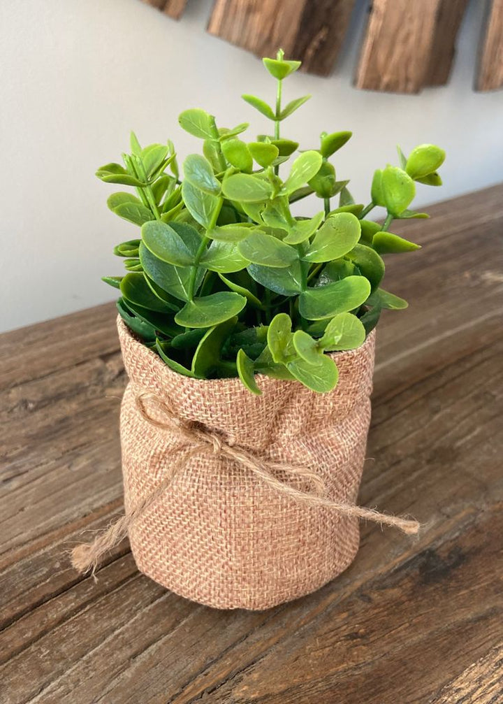Artificial Eucalyptus Plant In Hessian Bag