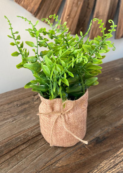 Green Artificial Plant In Hessian Bag